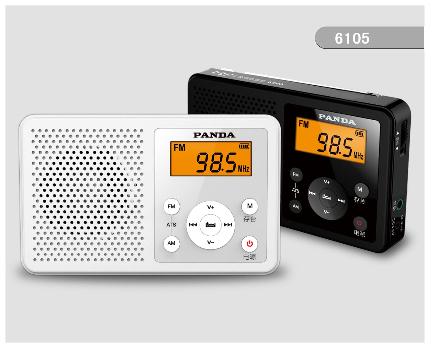 6105 AM/FM 2 BAND DSP RADIO